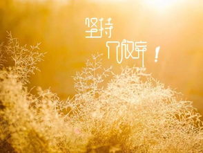 關(guān)于期待花開(kāi)的正能量句子,期待疫情結束的句子正能量的句子,經(jīng)典正能量句子期待明天的