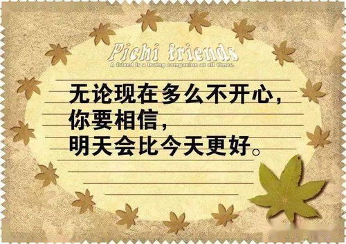 每日分享正能量句子20字以上
