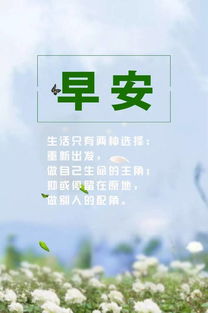 正能量佛系句子,關(guān)于堅持的正能量句子,正能量滿(mǎn)滿(mǎn)的勵志句子