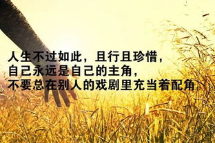早上晨讀學(xué)習正能量句子
