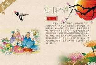 九九重陽節(jié)發(fā)朋友圈的句子,九九重陽節(jié)敬老人句子,描寫九九重陽節(jié)的古詩詞句子