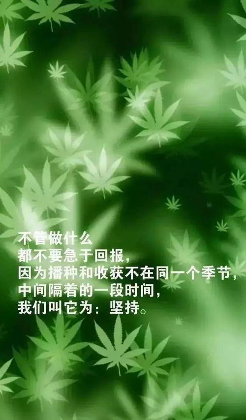 適合朋友圈發(fā)的早安正能量句子