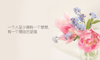 句子,能量,活著(zhù),開(kāi)心