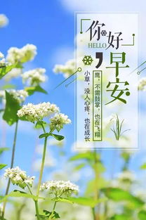 早安,句子,勵志,心語(yǔ)