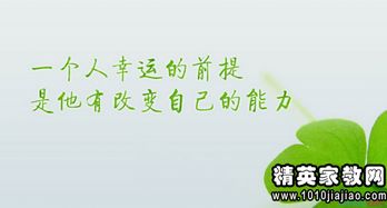 關(guān)于網(wǎng)絡(luò )的優(yōu)美句子正能量