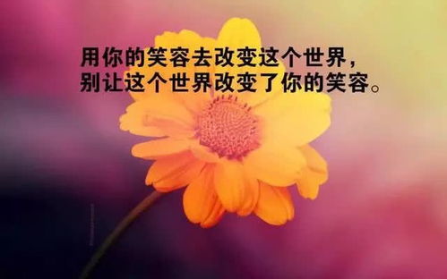 正能量健身的句子經(jīng)典語(yǔ)句,健身正能量的句子簡(jiǎn)短,健身勵志正能量的句子