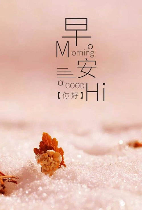 句子,能量,內心