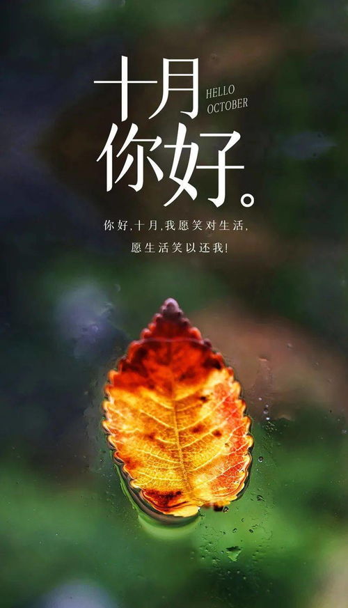 句子,語(yǔ)句,女神,能量