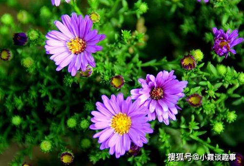 贊美傳播正能量的句子,學(xué)校傳播正能量的句子,關(guān)于傳播正能量,熱愛(ài)祖國(guó)的句子