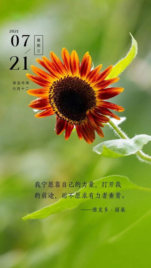 三觀(guān)超正的句子,三觀(guān)正正能量的句子,正能量三觀(guān)正的人