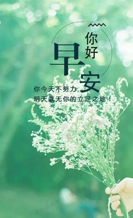 感悟人生正能量的句子經(jīng)典