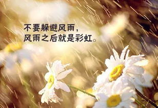 滿滿正能量的英文句子