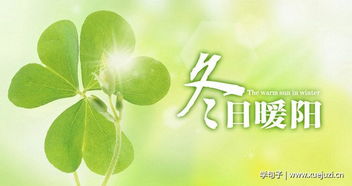 冬日暖陽(yáng)正能量溫暖人心的句子,關(guān)于冬日暖陽(yáng)的唯美句子,贊美冬日暖陽(yáng)的句子