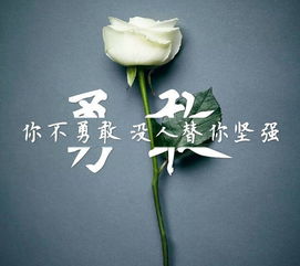 鼓勵自己好好學習的正能量句子