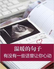 英語(yǔ)正能量句子摘抄