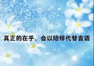 關(guān)于堅(jiān)持的正能量句子,正能量優(yōu)秀句子,正能量滿滿的勵志句子