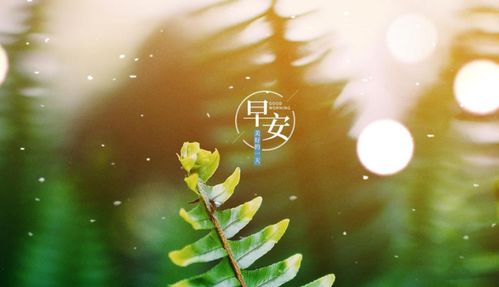 積極陽光正能量個性簽名句子