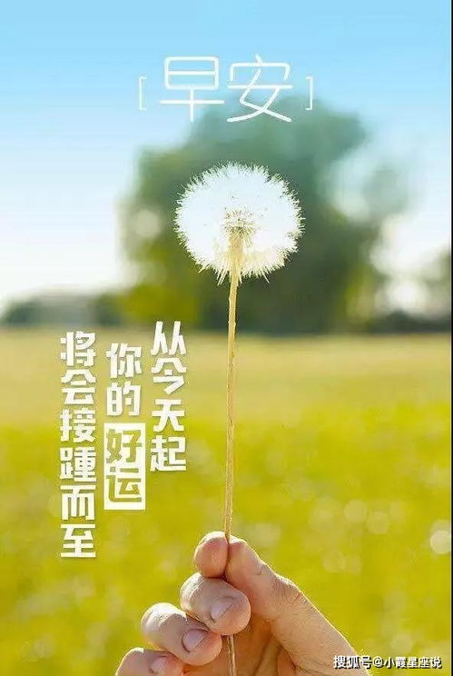 人生正能量的經(jīng)典句子,勵志正能量經(jīng)典句子,正能量的句子經(jīng)典語(yǔ)句