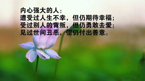 句子,開會,能量