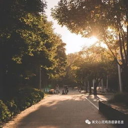 喜歡情感勵(lì)志正能量的句子,勵(lì)志上進(jìn)正能量句子,句句激勵(lì)自己!,人生情感正能量勵(lì)志的句子