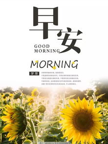 8字正能量句子,10字正能量句子,20字正能量句子