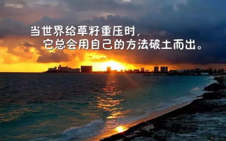 早安勵志正能量的句子朋友圈,適合旅游正能量的句子,團隊旅游正能量的句子
