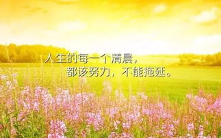 早安,句子,能量,配圖