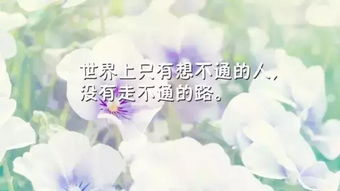 生活感悟激勵正能量的句子