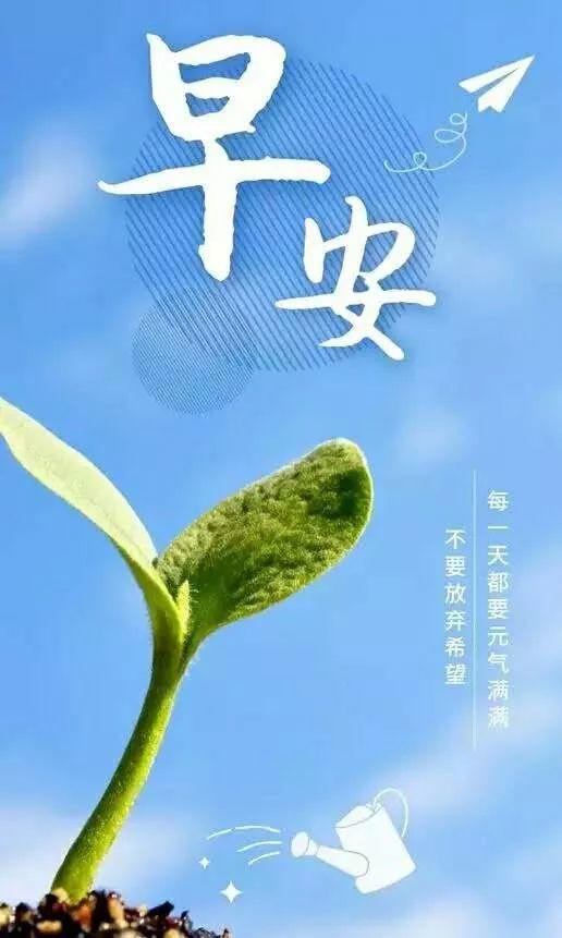 有個(gè),句子,能量,心態(tài)