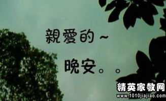 學(xué)生唯美正能量句子