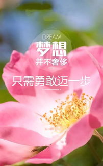 老師早安勵志正能量的句子,好心態(tài)早安正能量句子,早安語(yǔ)錄正能量的句子