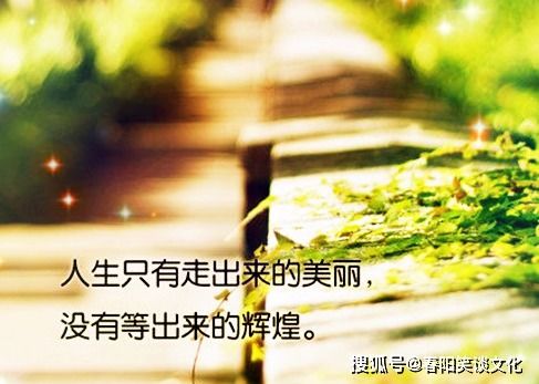 句子,能量