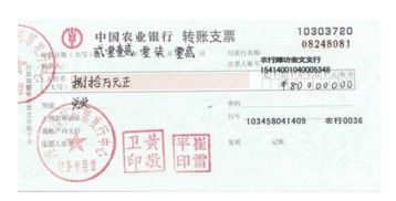 開出轉(zhuǎn)賬支票屬于什么會(huì)計(jì)科目,開出轉(zhuǎn)賬支票計(jì)入什么會(huì)計(jì)科目,開出轉(zhuǎn)賬支票記什么會(huì)計(jì)科目