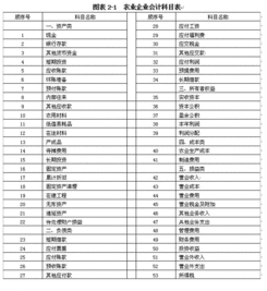 企業(yè)付醫療金會(huì )計科目