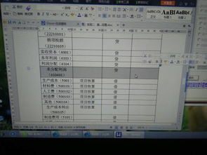 會計科目,收入,格式