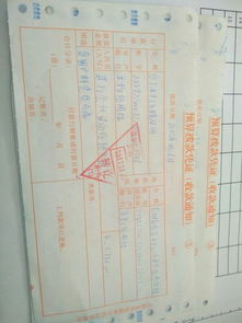 退耕還林,會(huì)計(jì)科目