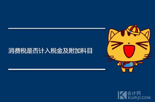 計(jì)提消費(fèi)稅會(huì)計(jì)科目