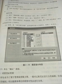 標準版,導出,金蝶,會計科目