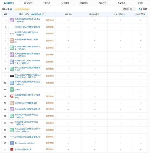 新公司會(huì)計(jì)科目怎么設(shè)置,注冊(cè)新公司的支出會(huì)計(jì)科目,新公司收到股東錢(qián)計(jì)入什么會(huì)計(jì)科目