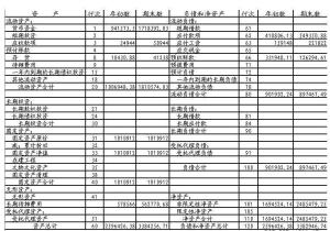 匯總表,會(huì)計(jì)科目,農(nóng)業(yè)