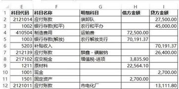 借方,負(fù)債,什么意思,會(huì)計(jì)科目