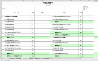 民間非營(yíng)利組織會(huì )計科目名稱(chēng)