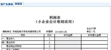 小企業(yè),會計準則,會計科目