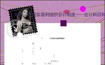 民間非營利組織會計制度會計科目,政府與非營利組織會計會計科目,民間非營利組織會計科目管理費用