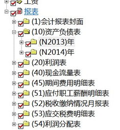 現(xiàn)金流量表,會(huì)計(jì)科目,查詢(xún)