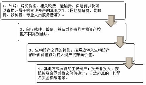 農業(yè)生產(chǎn)企業(yè)會(huì )計科目,柴油計入哪個(gè)會(huì )計科目,柴油屬于什么會(huì )計科目