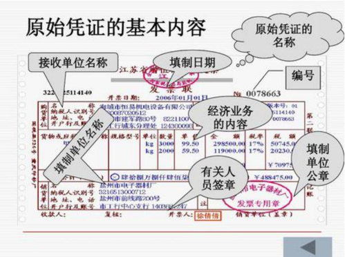 總預(yù)算,財(cái)政,會計(jì)科目,包括