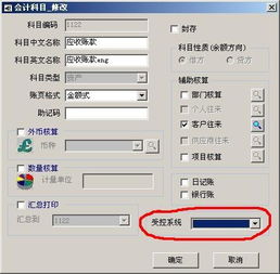 會(huì)計(jì)科目不受控