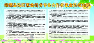 家禽養殖涉及的會(huì )計科目