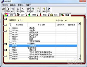 用友怎么增加會(huì)計(jì)科目明細(xì),用友u8增加會(huì)計(jì)科目,用友T3如何增加一級(jí)會(huì)計(jì)科目
